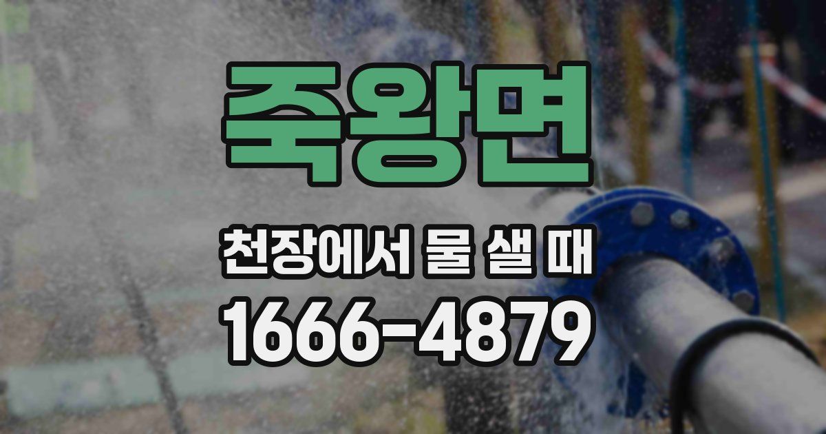 죽왕면 천장에서 물 샐 때
