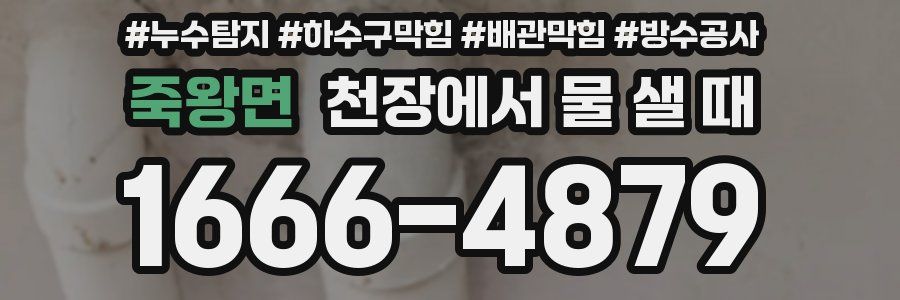 죽왕면 천장에서 물 샐 때
