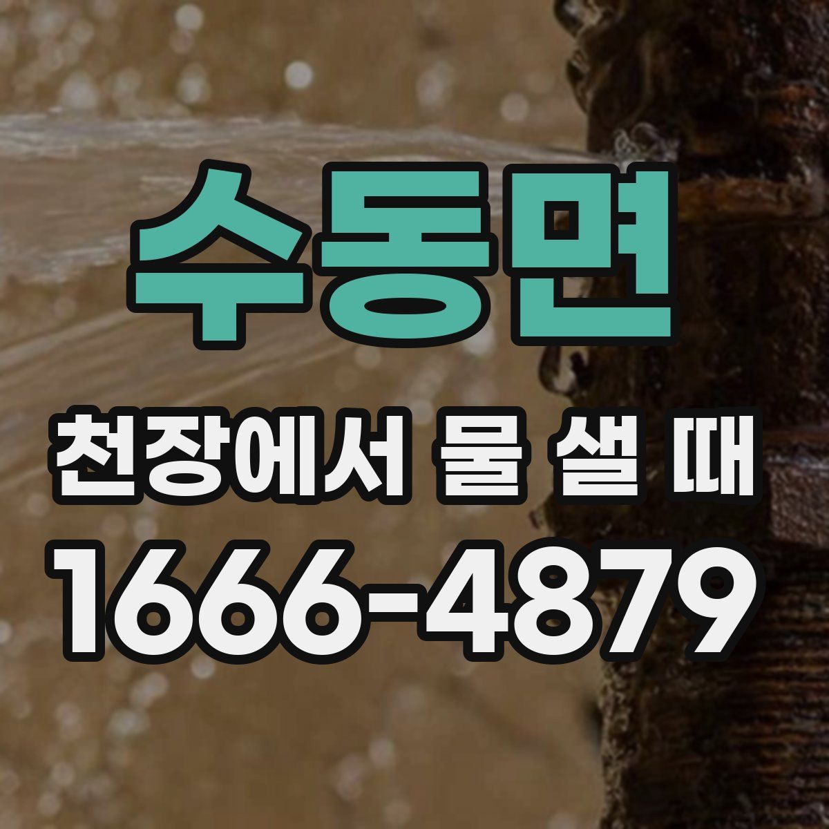 수동면 천장에서 물 샐 때