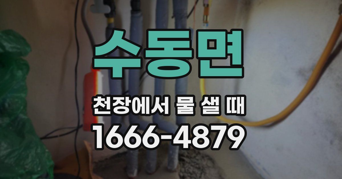 수동면 천장에서 물 샐 때