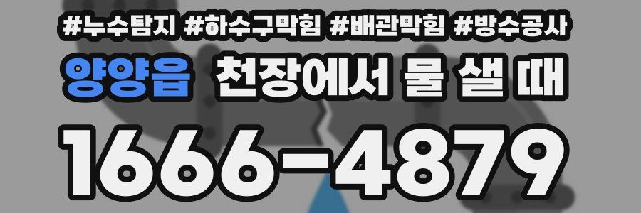 양양읍 천장에서 물 샐 때
