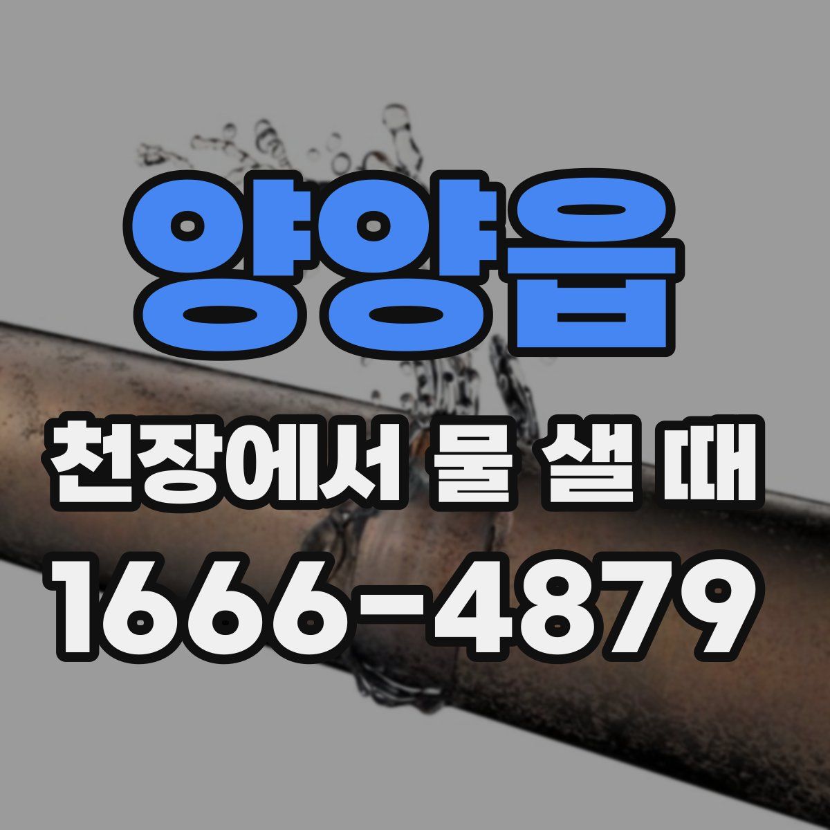 양양읍 천장에서 물 샐 때