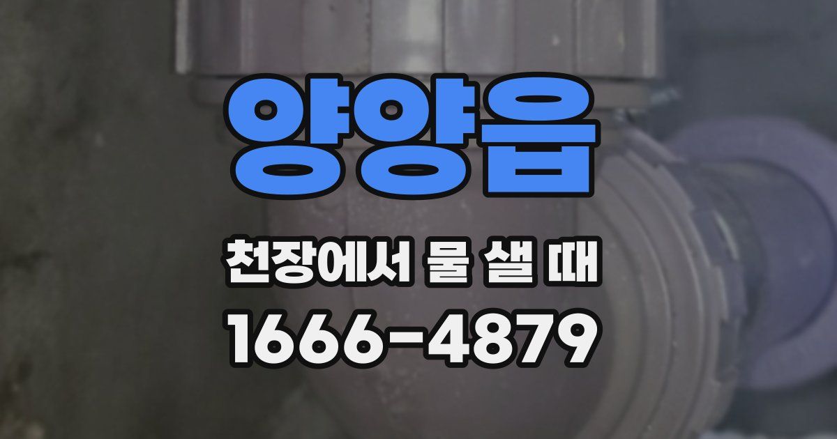 양양읍 천장에서 물 샐 때