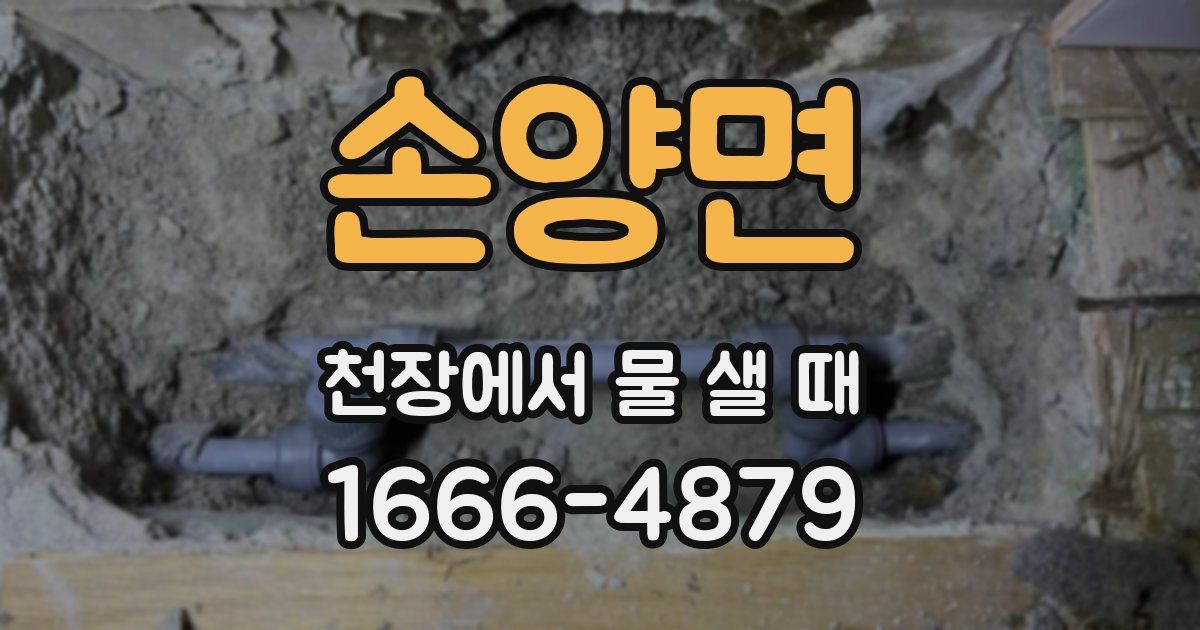 손양면 천장에서 물 샐 때