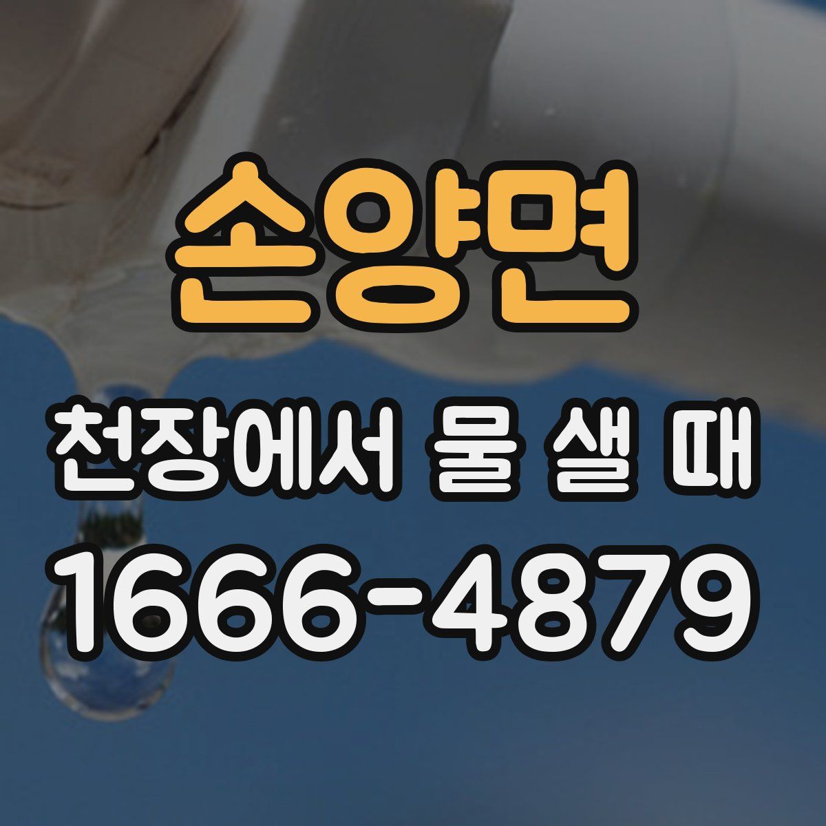 손양면 천장에서 물 샐 때