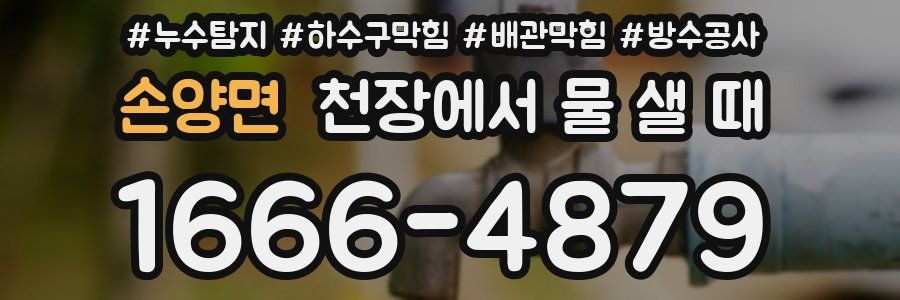 손양면 천장에서 물 샐 때