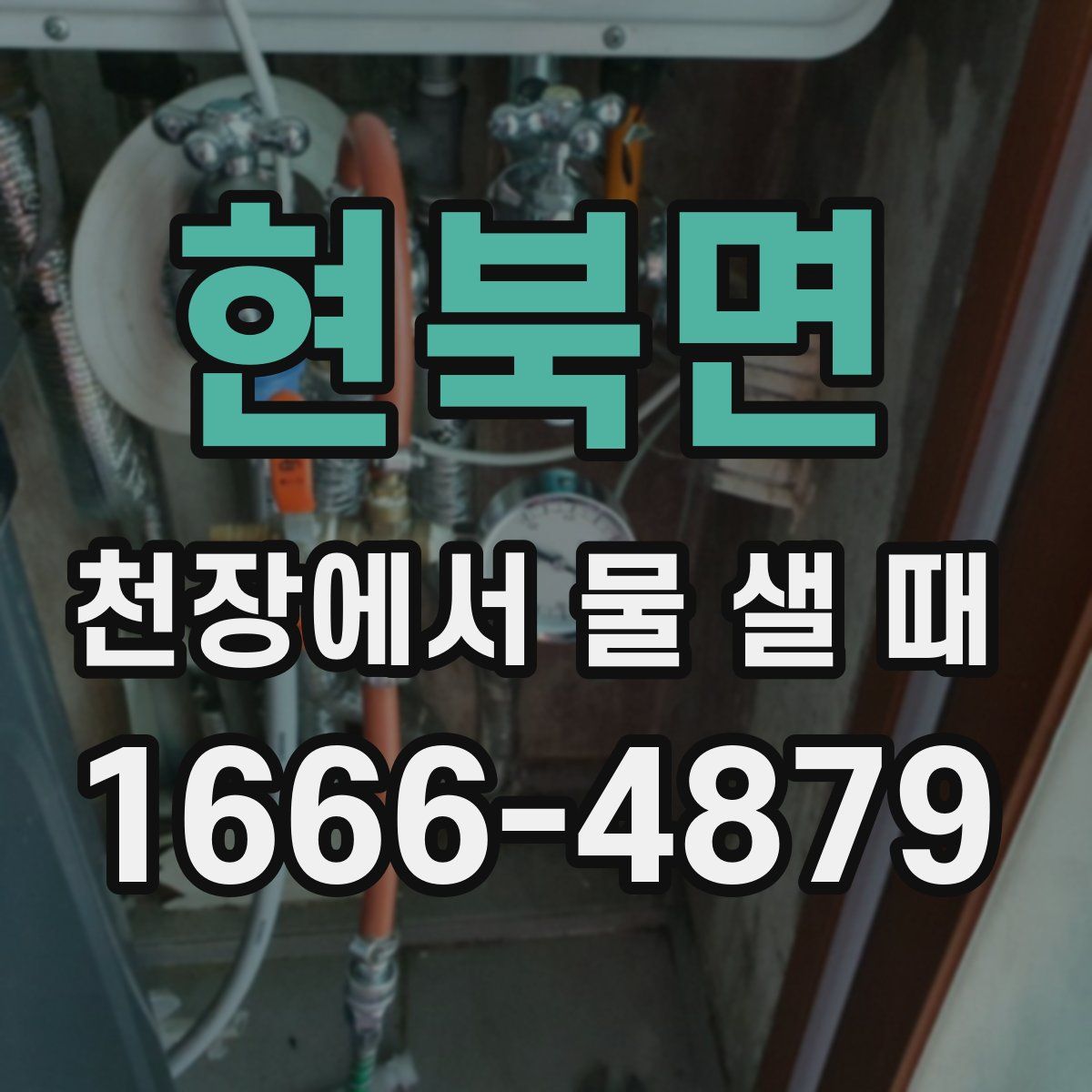현북면 천장에서 물 샐 때