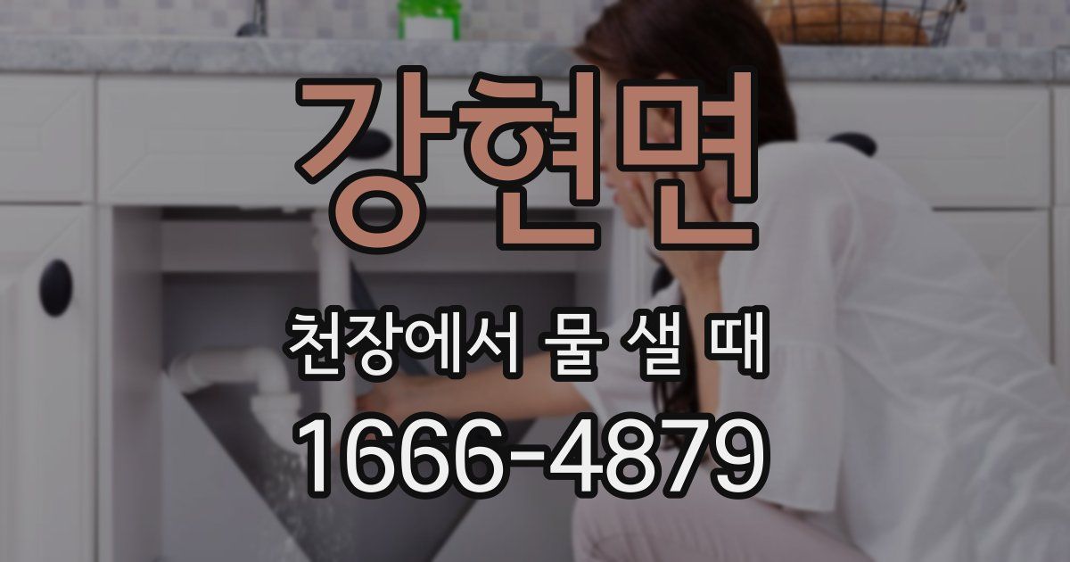 강현면 천장에서 물 샐 때