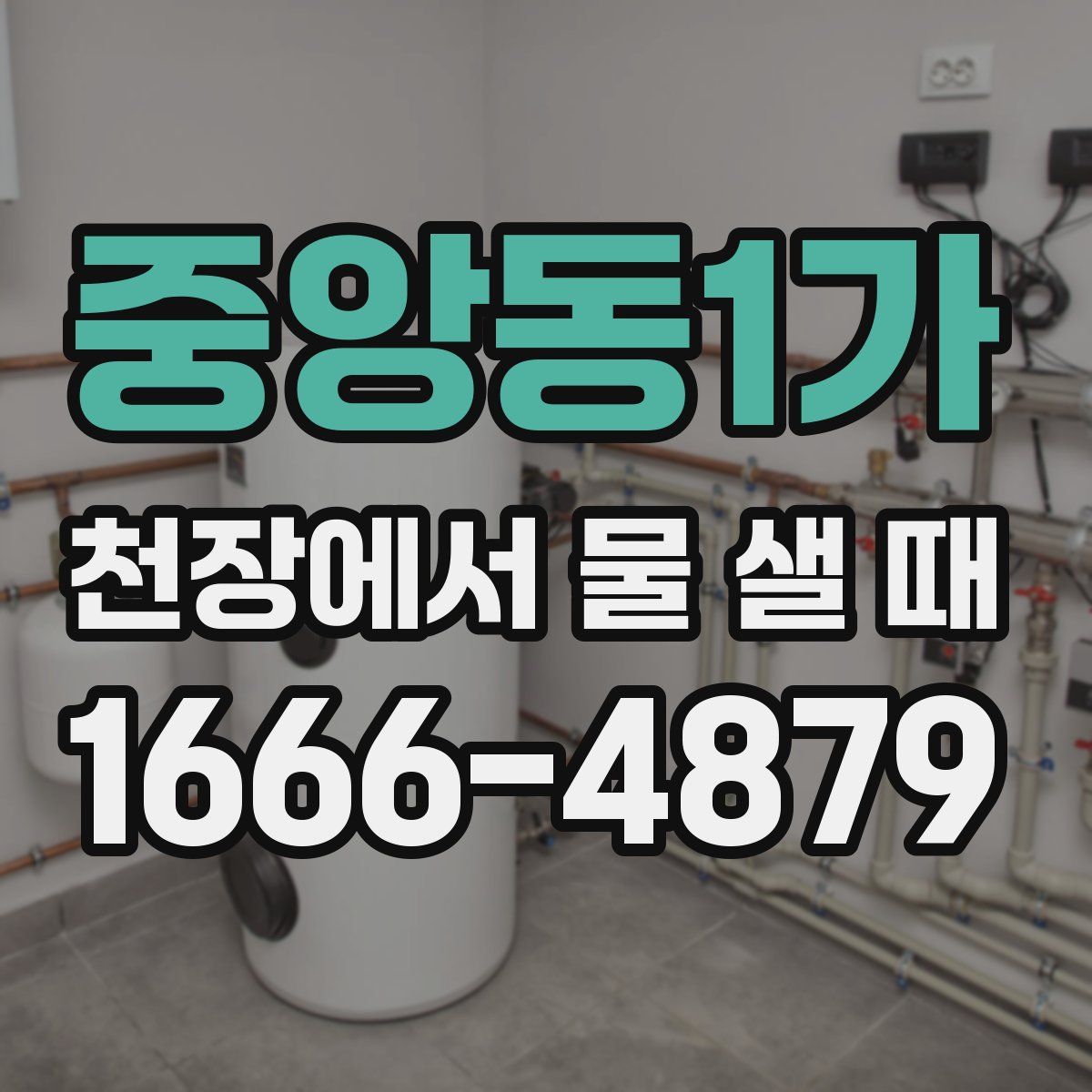 중앙동1가 천장에서 물 샐 때