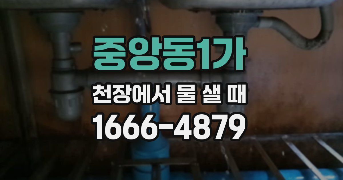 중앙동1가 천장에서 물 샐 때