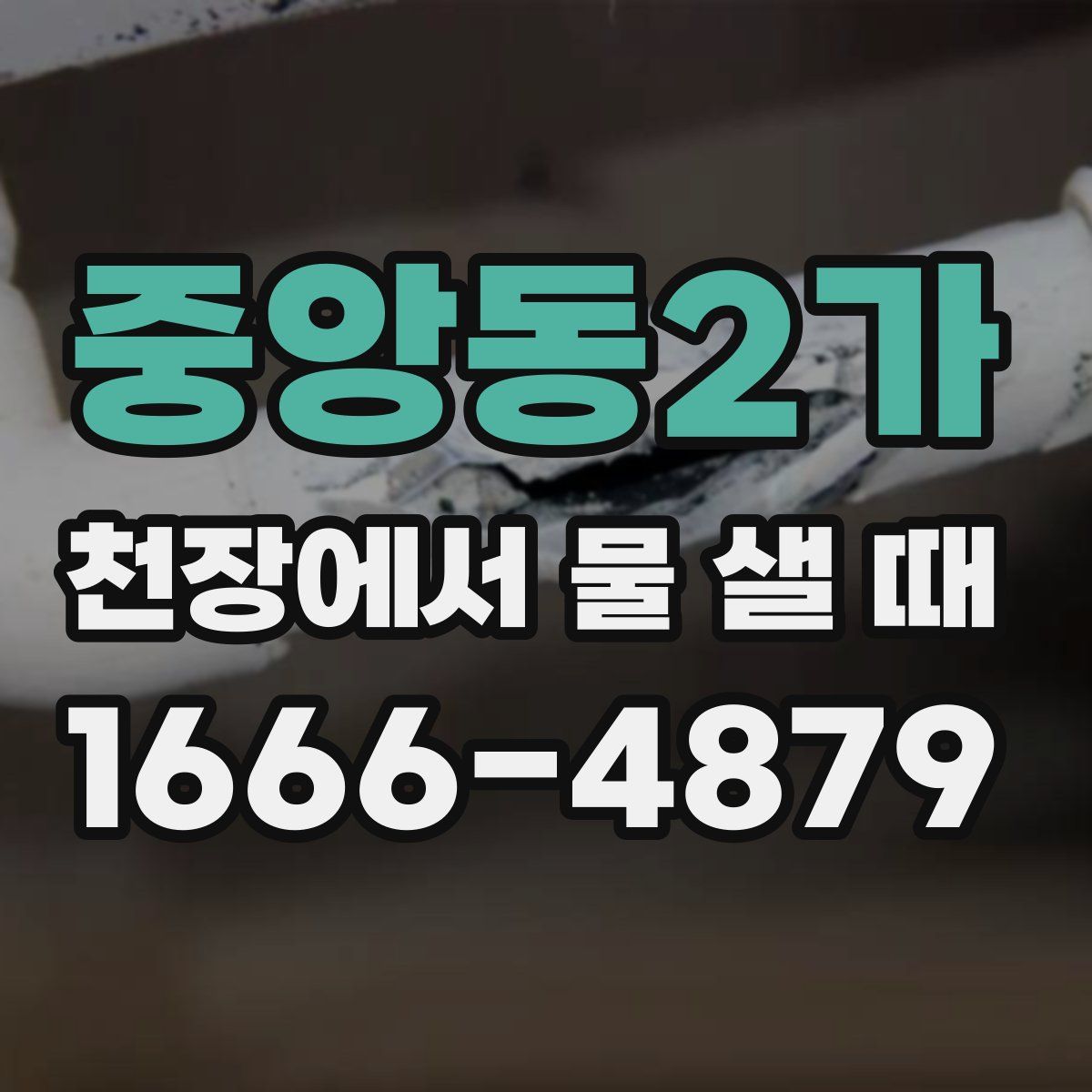 중앙동2가 천장에서 물 샐 때