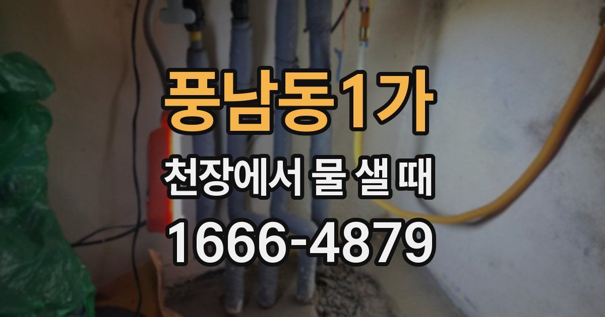 풍남동1가 천장에서 물 샐 때