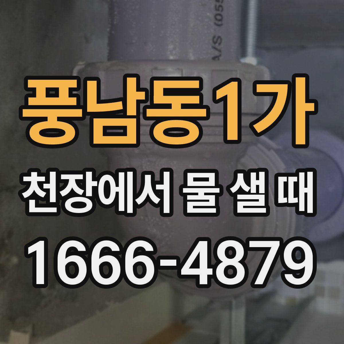 풍남동1가 천장에서 물 샐 때
