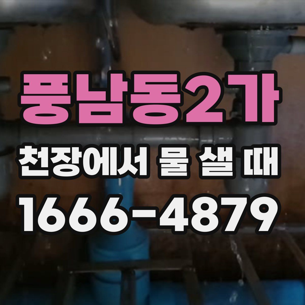 풍남동2가 천장에서 물 샐 때