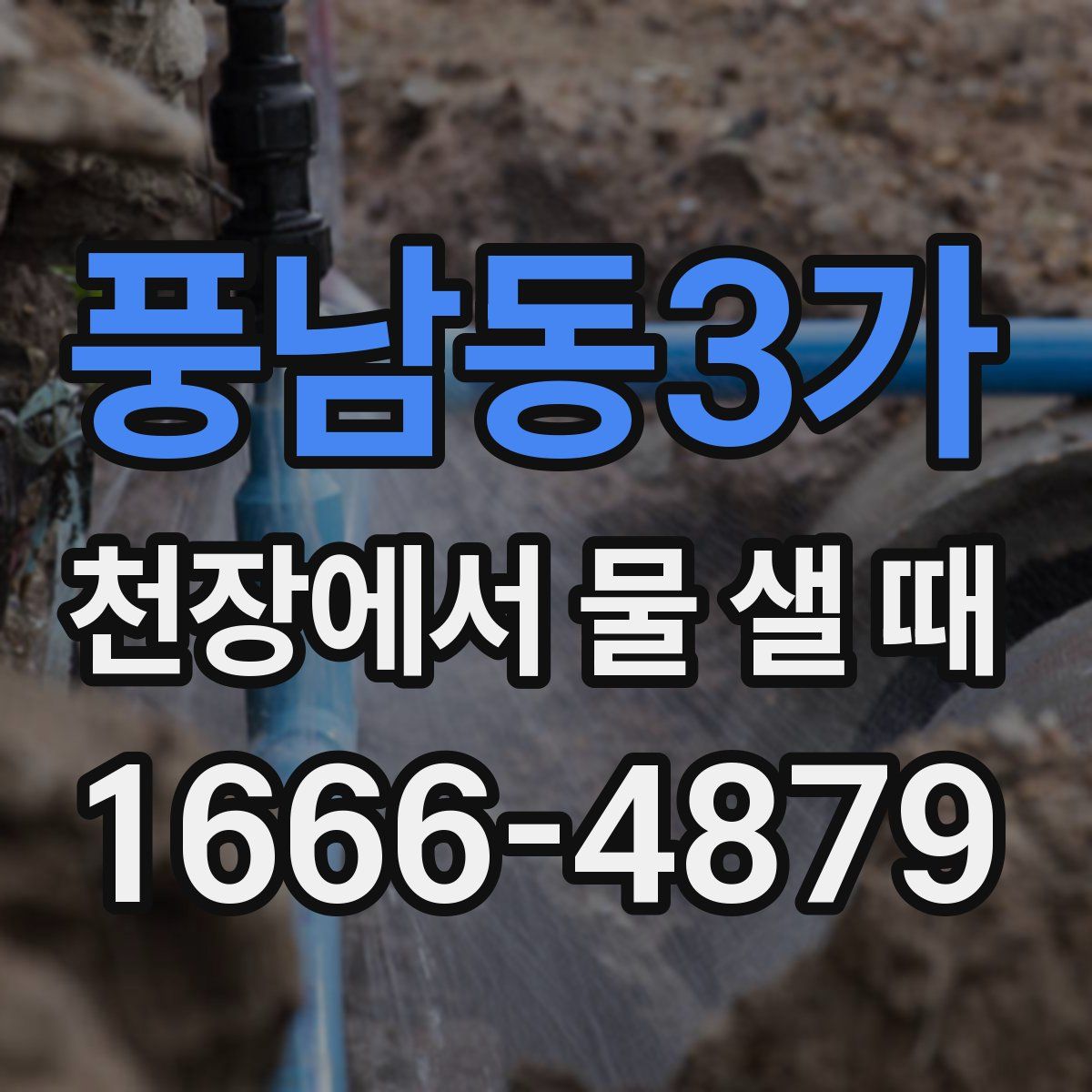 풍남동3가 천장에서 물 샐 때