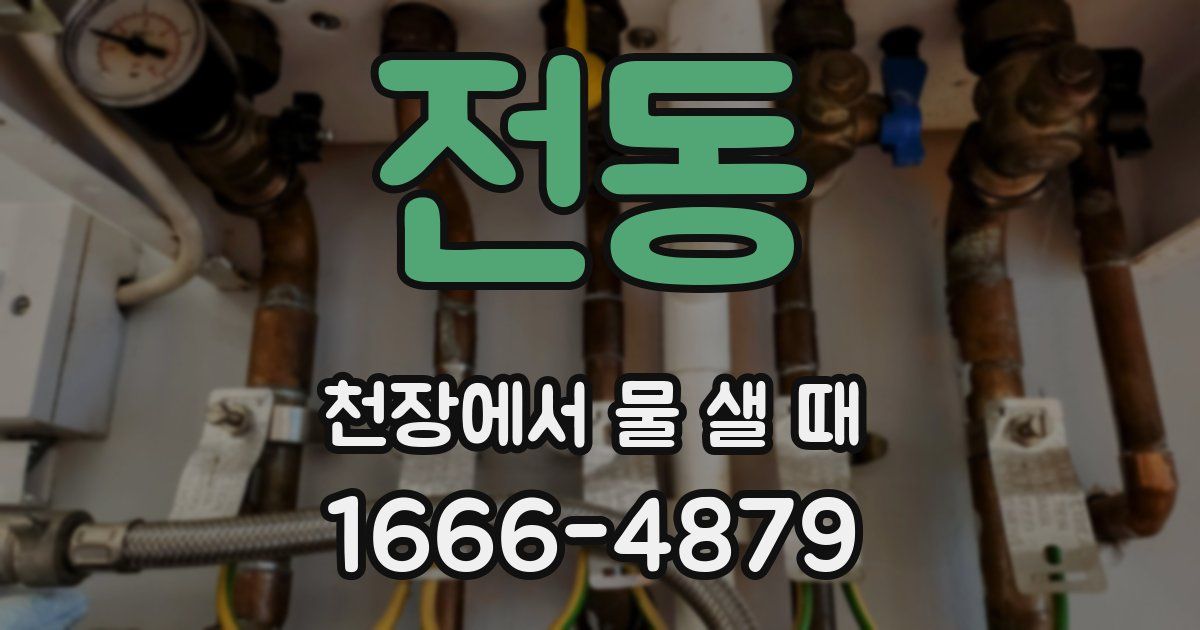 전동 천장에서 물 샐 때