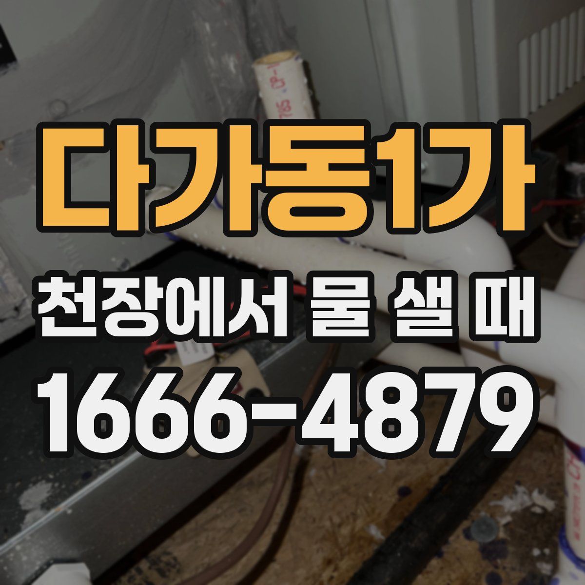다가동1가 천장에서 물 샐 때