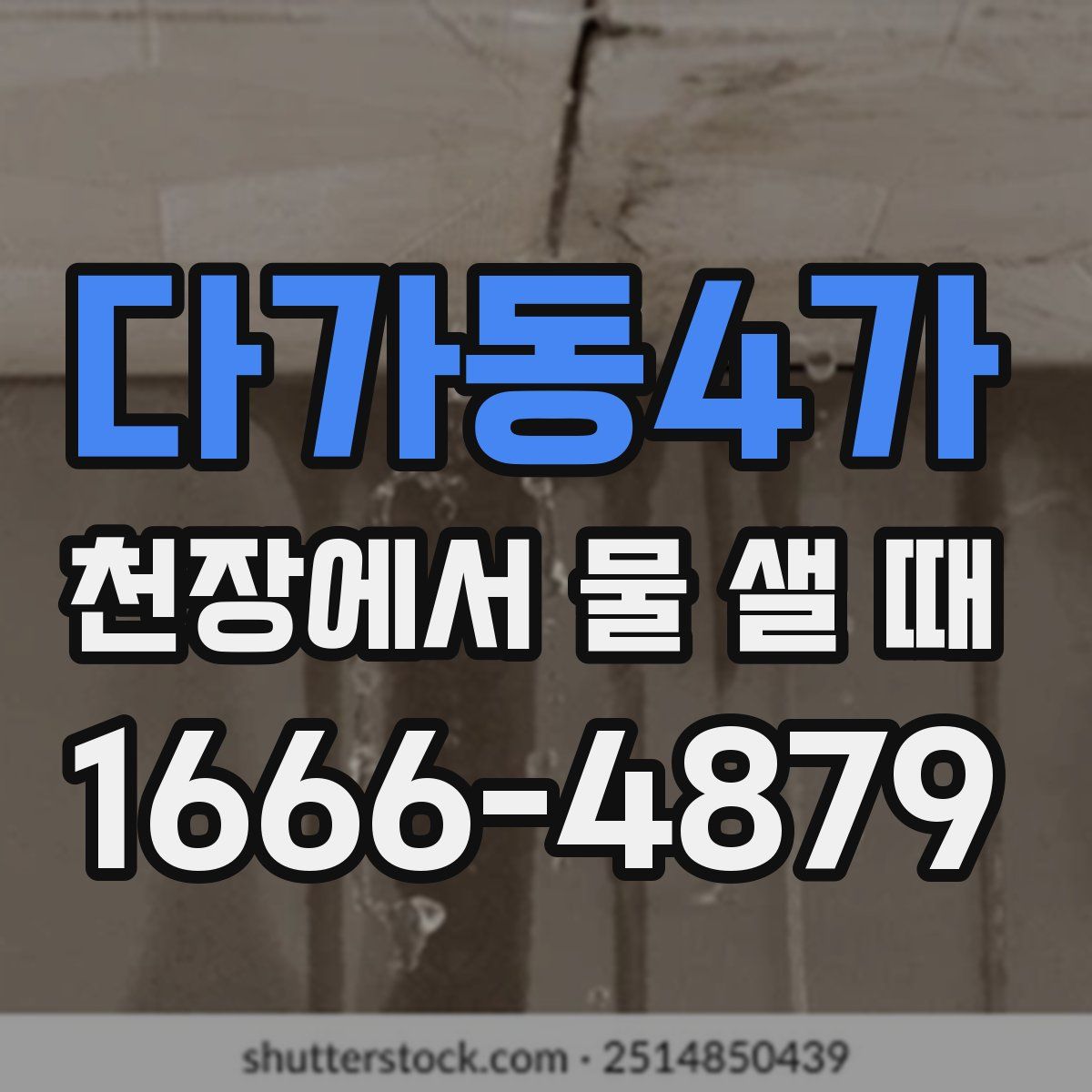 다가동4가 천장에서 물 샐 때