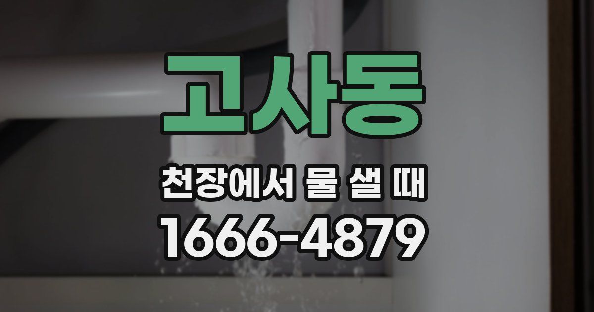 고사동 천장에서 물 샐 때