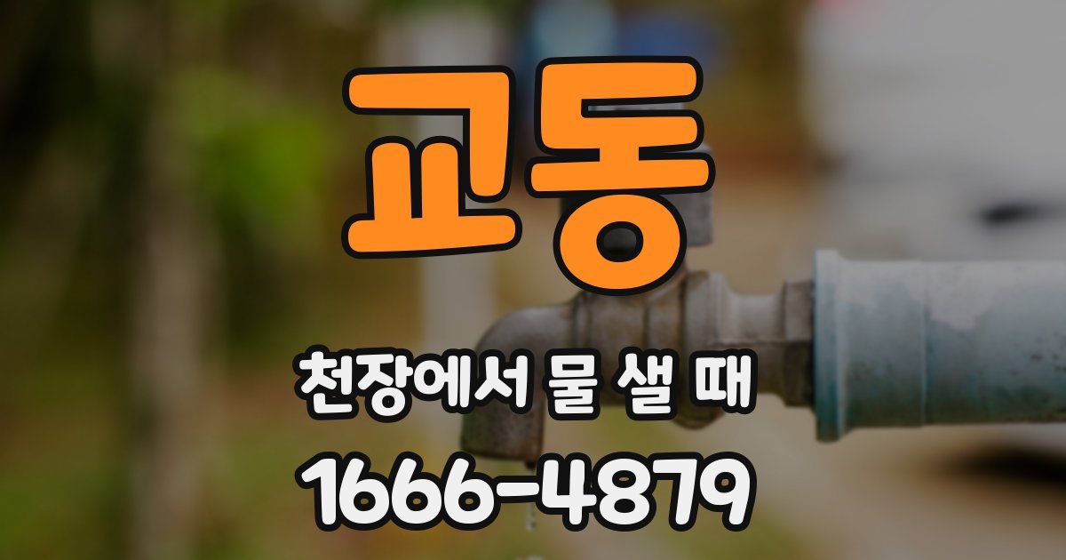 교동 천장에서 물 샐 때
