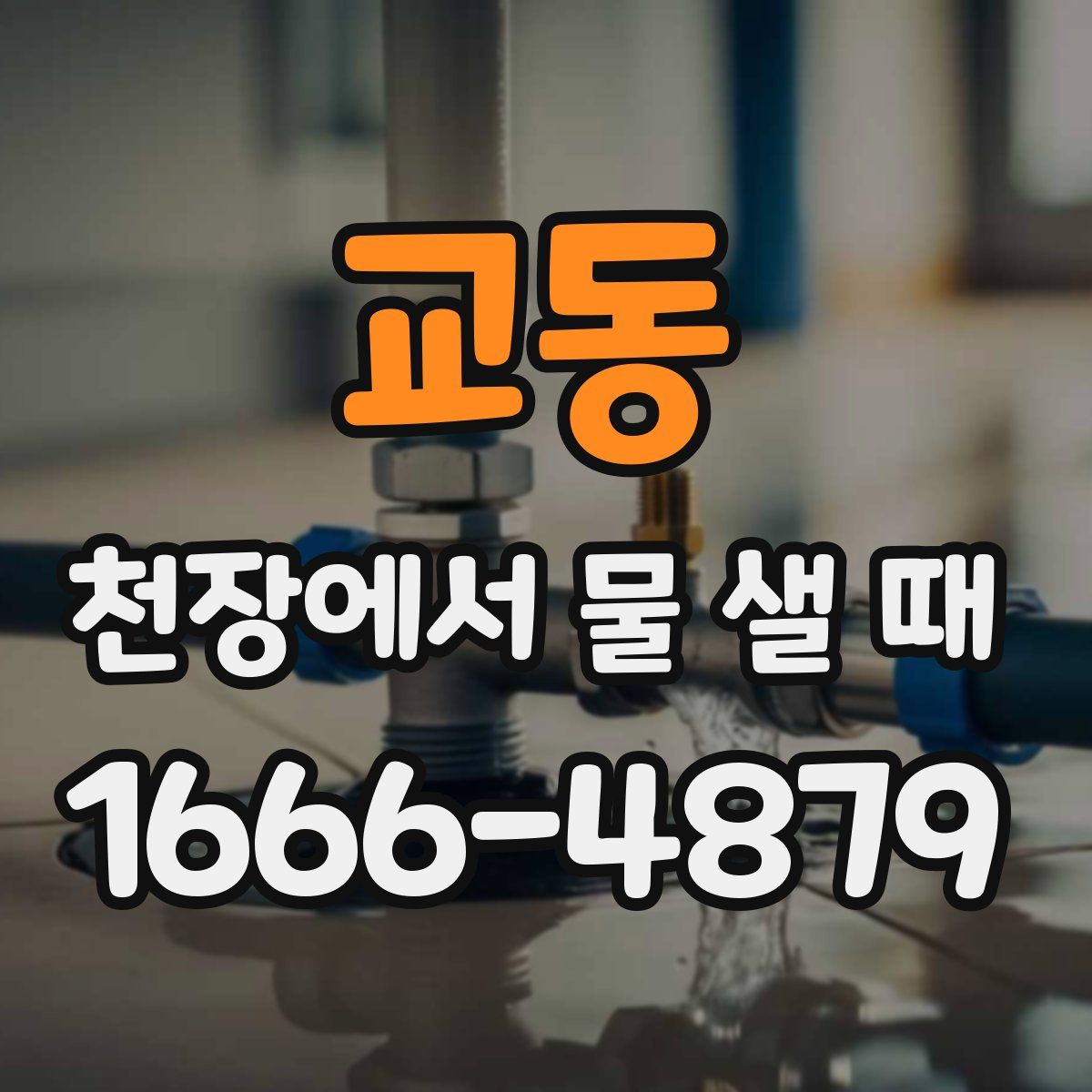 교동 천장에서 물 샐 때