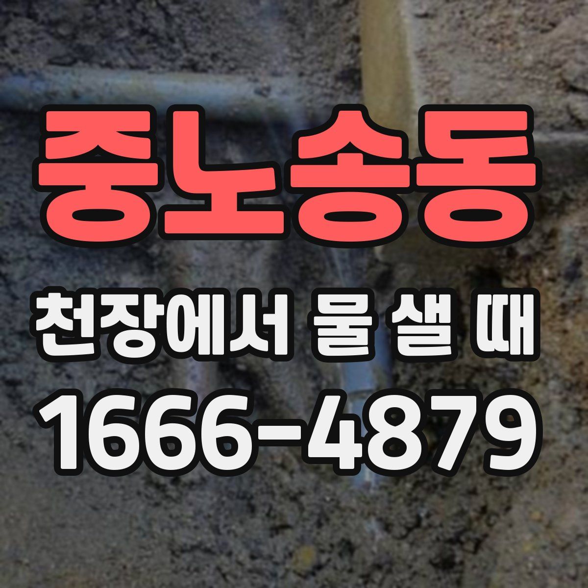 중노송동 천장에서 물 샐 때