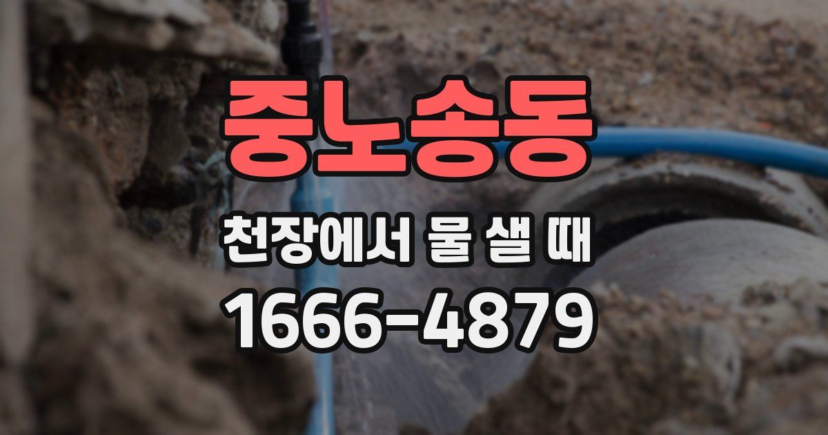 중노송동 천장에서 물 샐 때