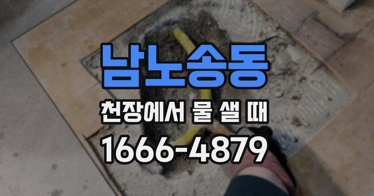남노송동 천장에서 물 샐 때