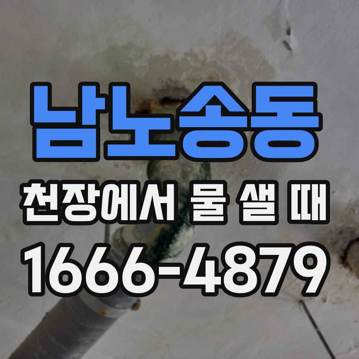 남노송동 천장에서 물 샐 때