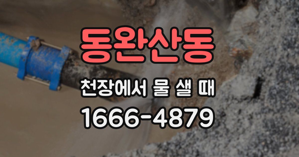 동완산동 천장에서 물 샐 때