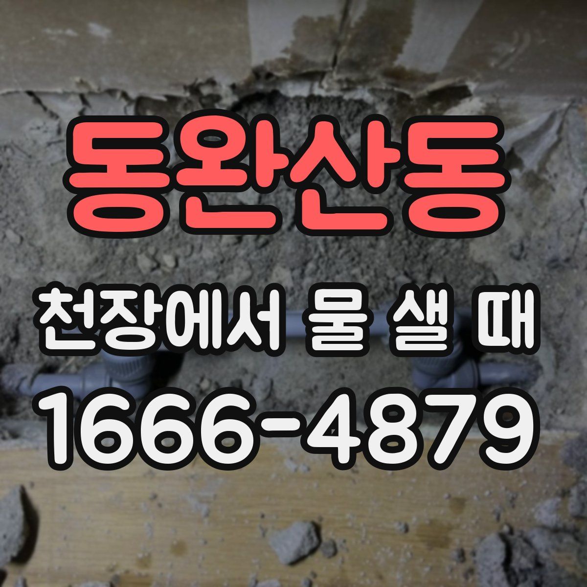 동완산동 천장에서 물 샐 때