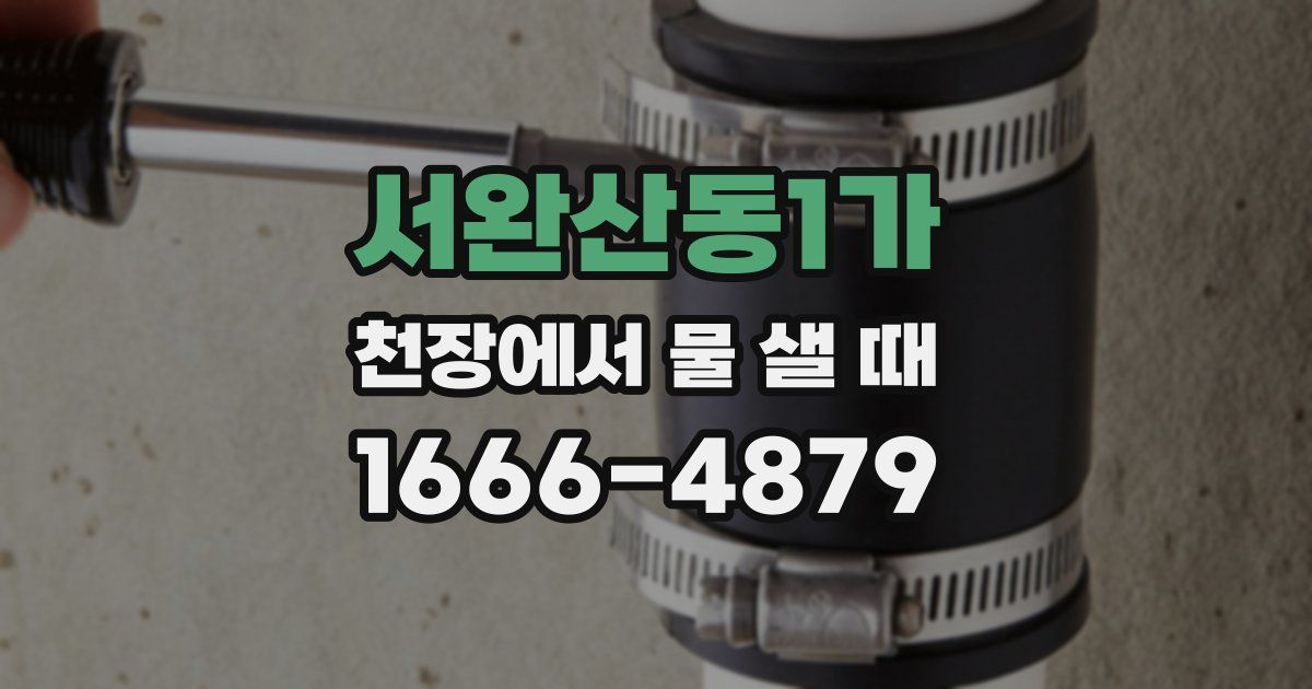 서완산동1가 천장에서 물 샐 때