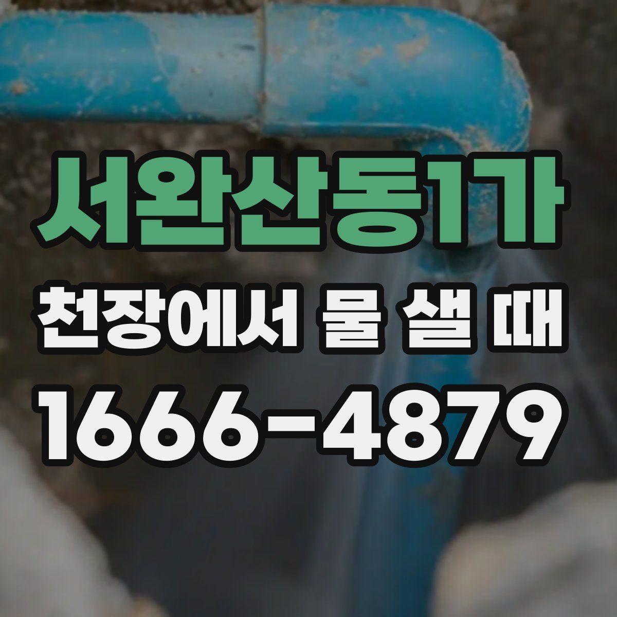 서완산동1가 천장에서 물 샐 때