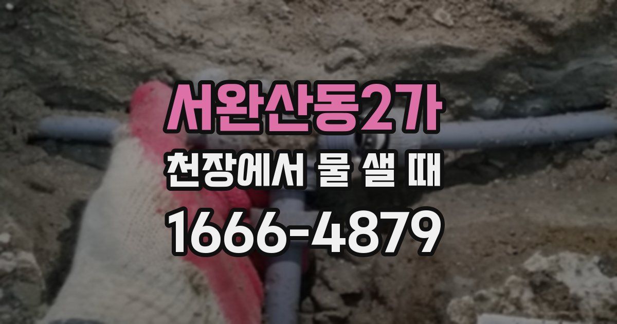 서완산동2가 천장에서 물 샐 때