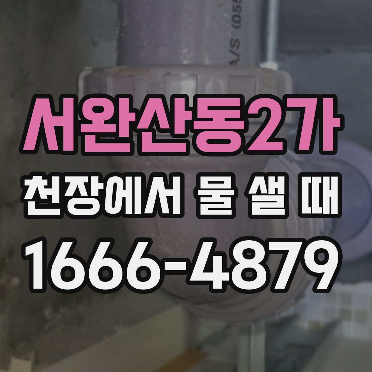 서완산동2가 천장에서 물 샐 때