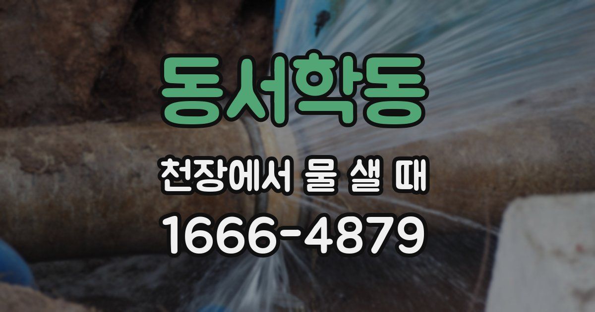 동서학동 천장에서 물 샐 때