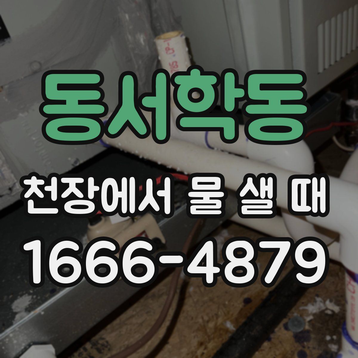 동서학동 천장에서 물 샐 때