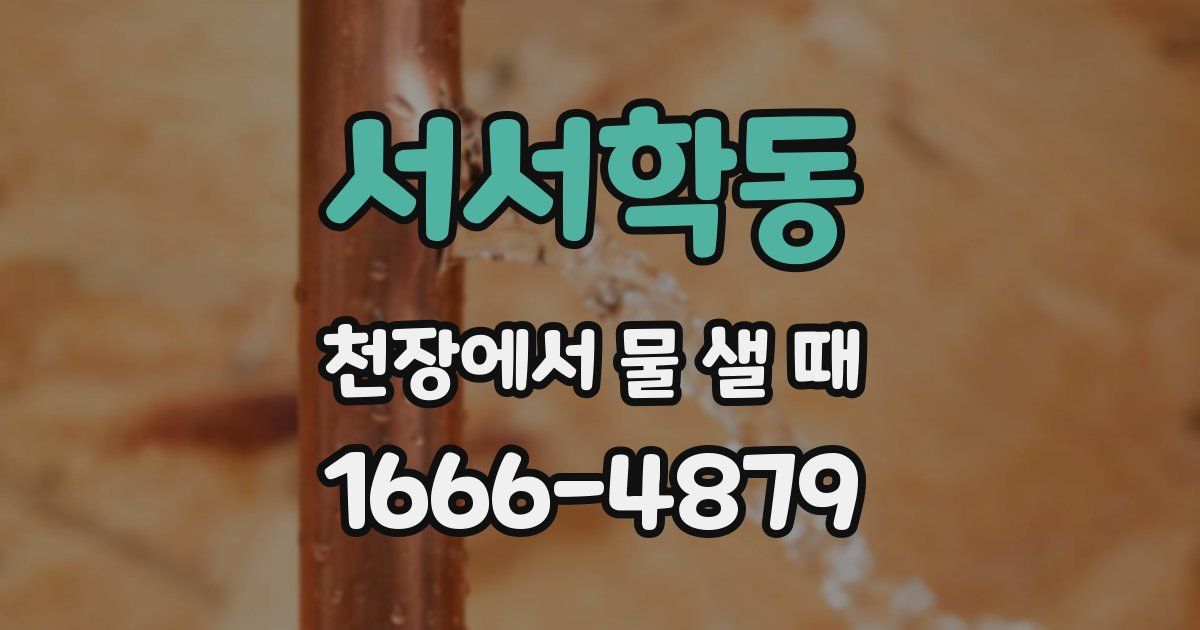 서서학동 천장에서 물 샐 때