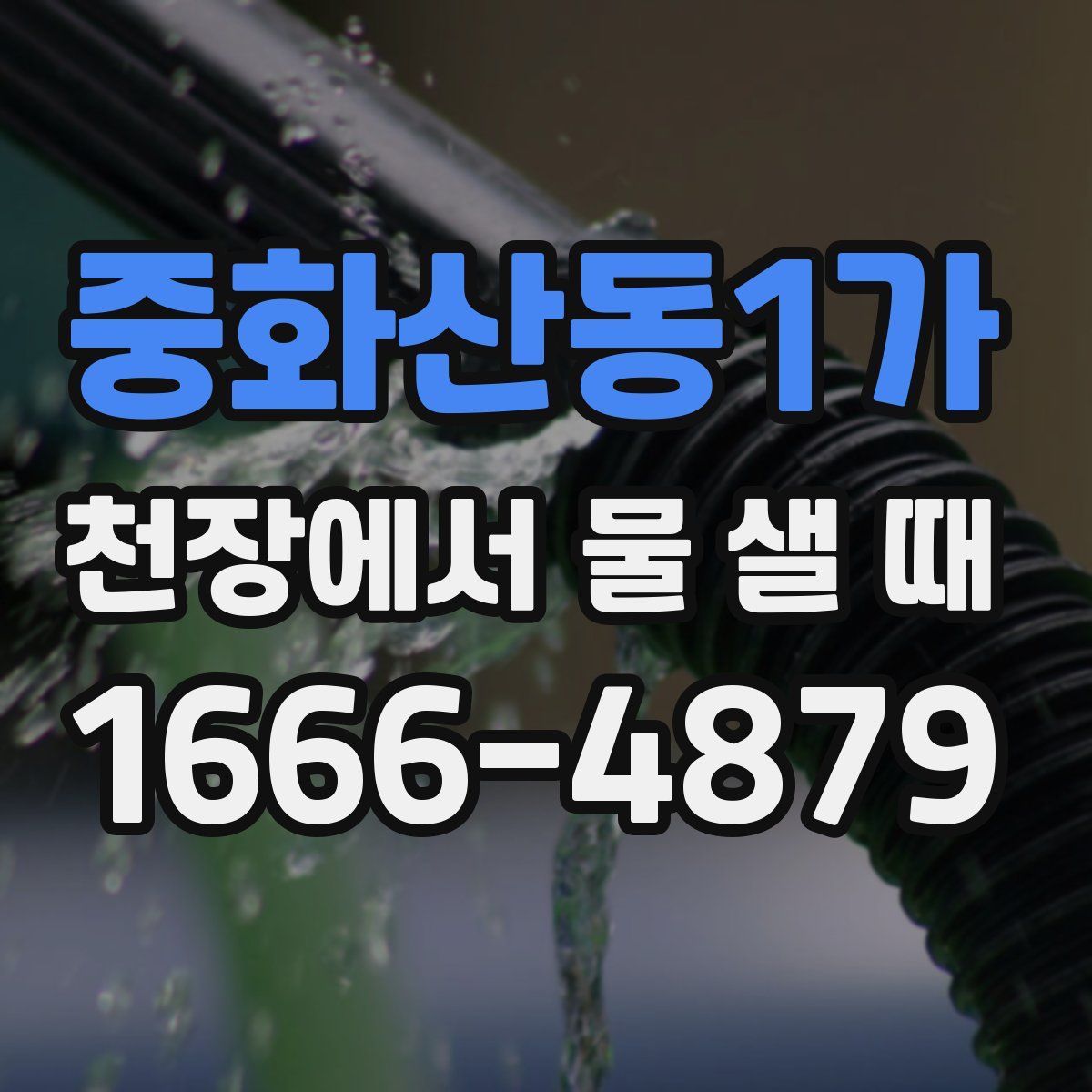 중화산동1가 천장에서 물 샐 때