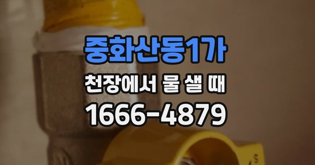 중화산동1가 천장에서 물 샐 때