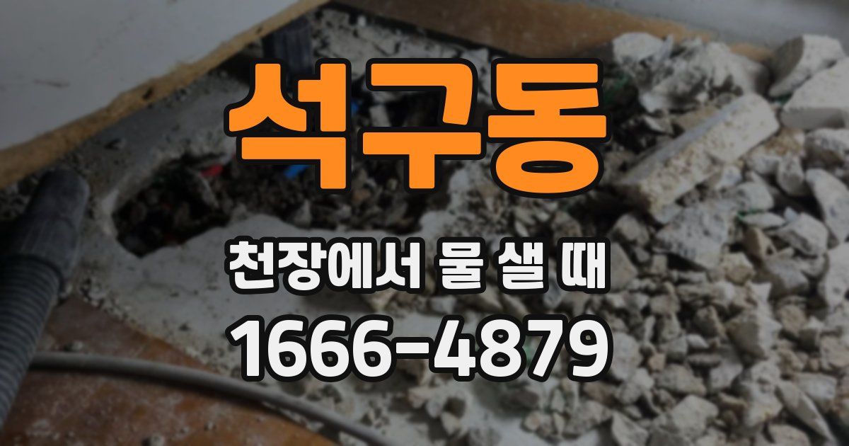 석구동 천장에서 물 샐 때