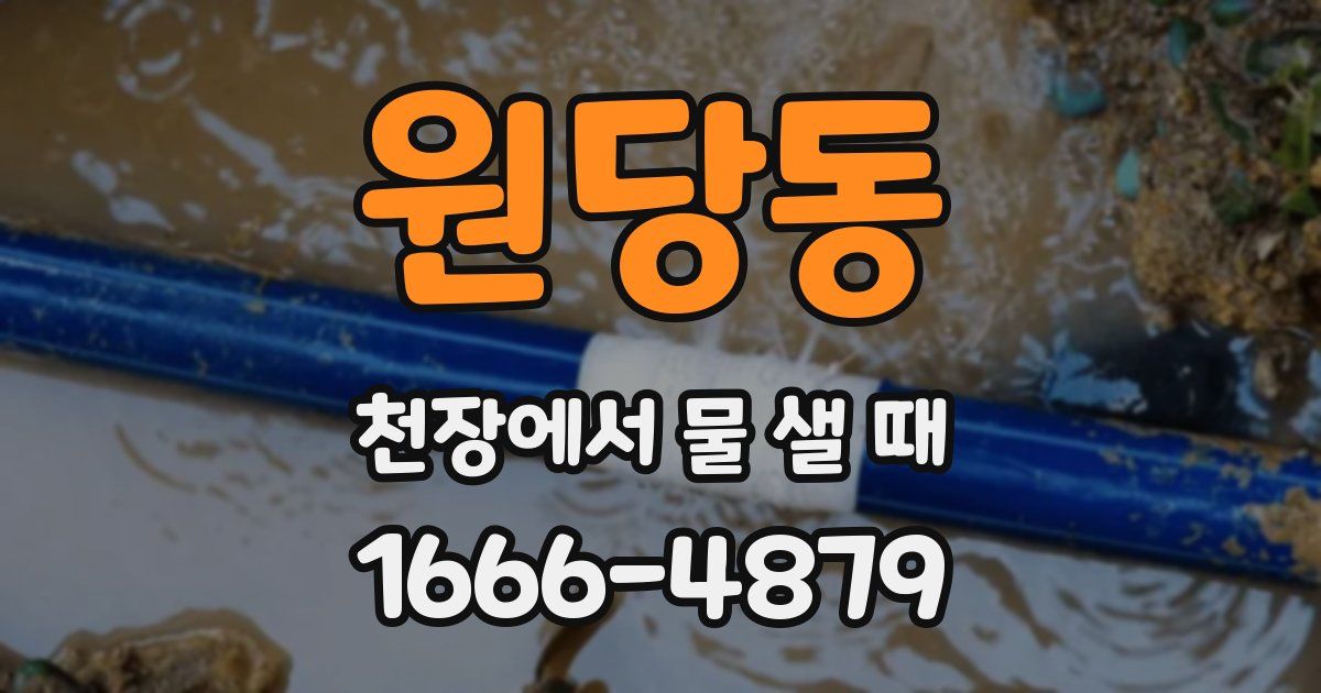 원당동 천장에서 물 샐 때