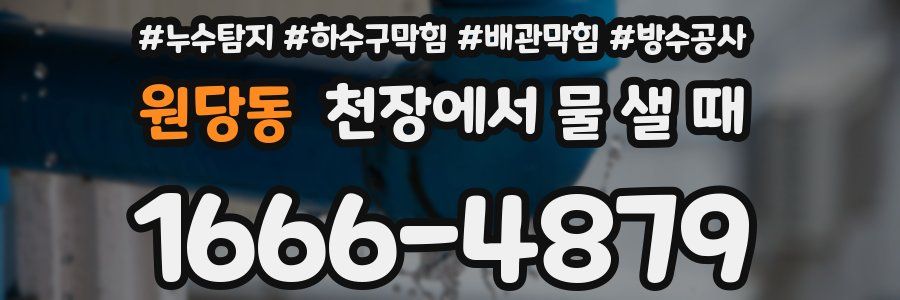 원당동 천장에서 물 샐 때