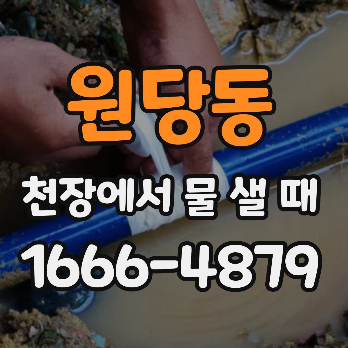 원당동 천장에서 물 샐 때