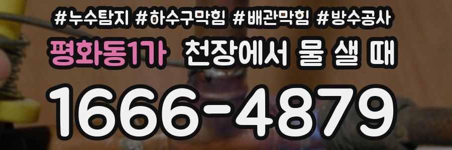 평화동1가 천장에서 물 샐 때