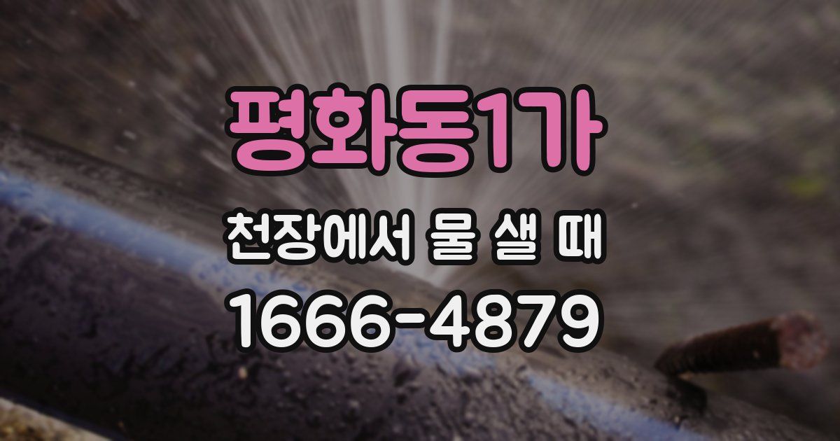 평화동1가 천장에서 물 샐 때
