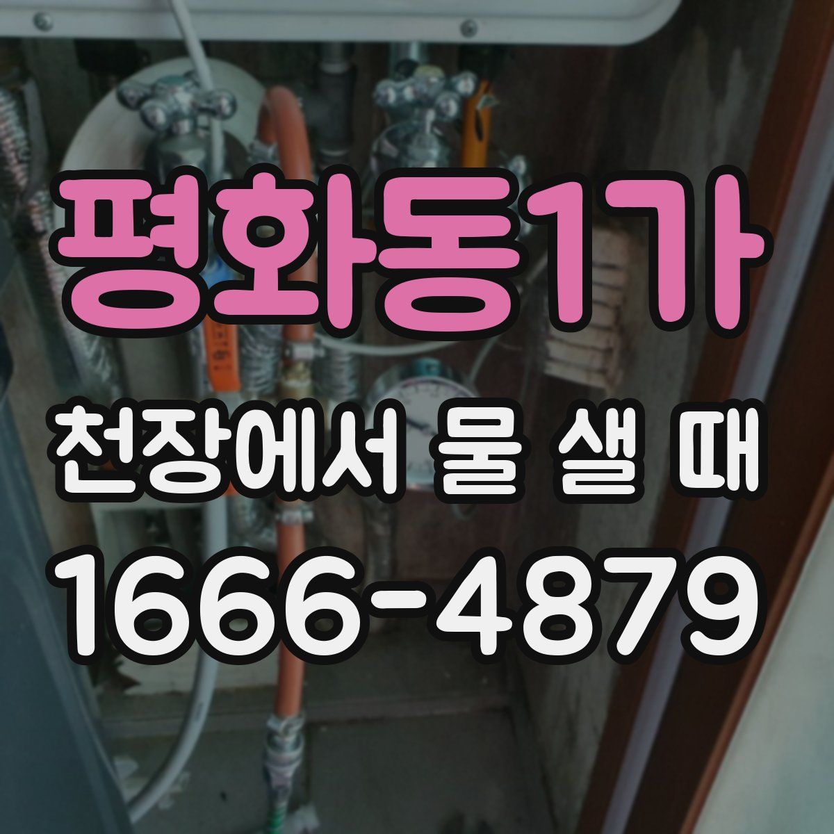평화동1가 천장에서 물 샐 때