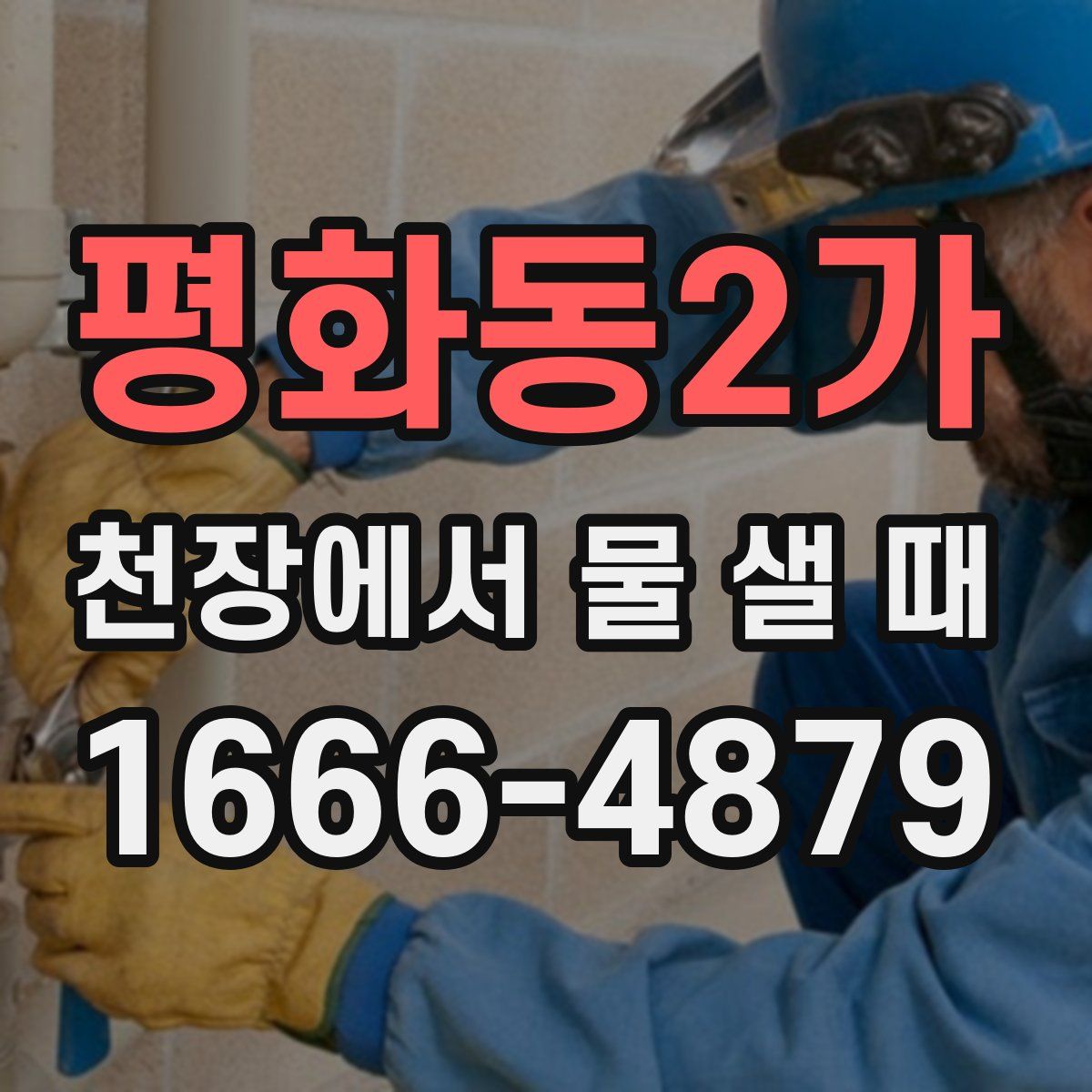 평화동2가 천장에서 물 샐 때