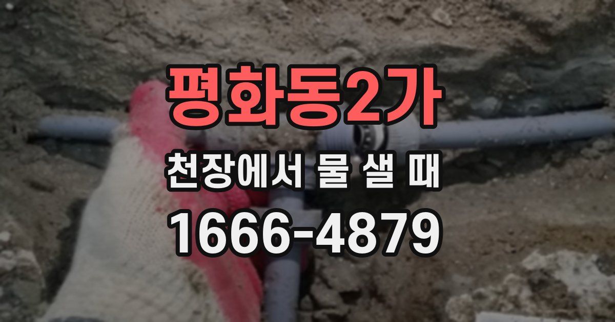 평화동2가 천장에서 물 샐 때