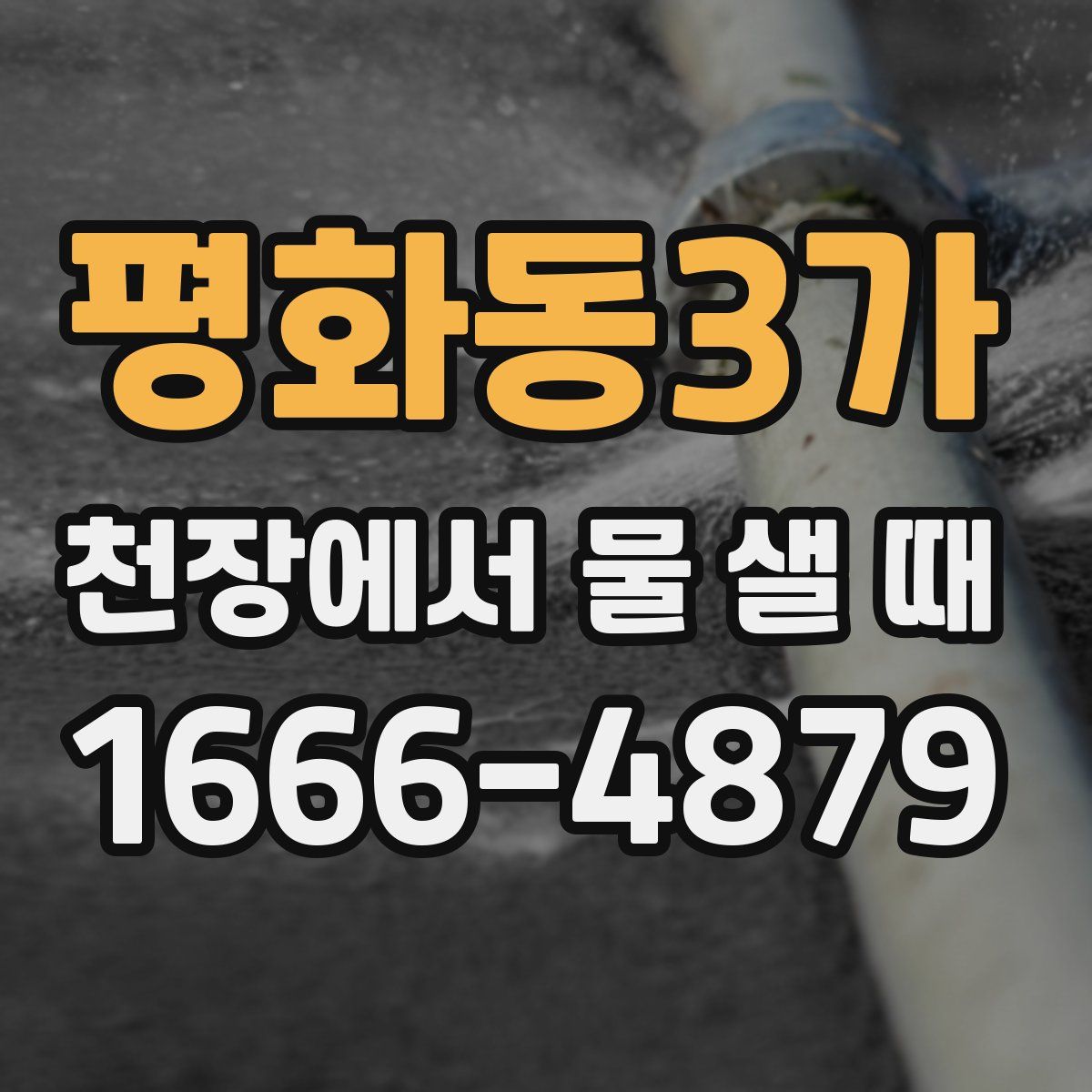 평화동3가 천장에서 물 샐 때